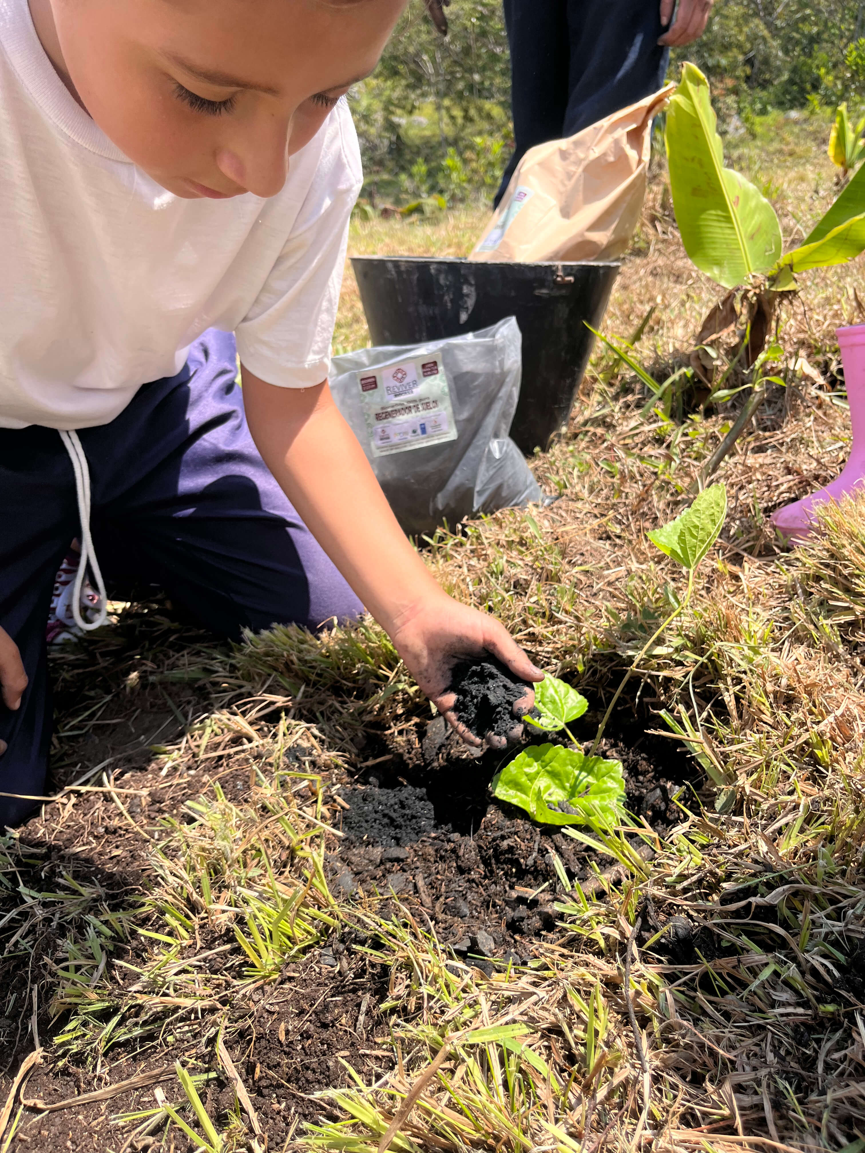 niña plantando